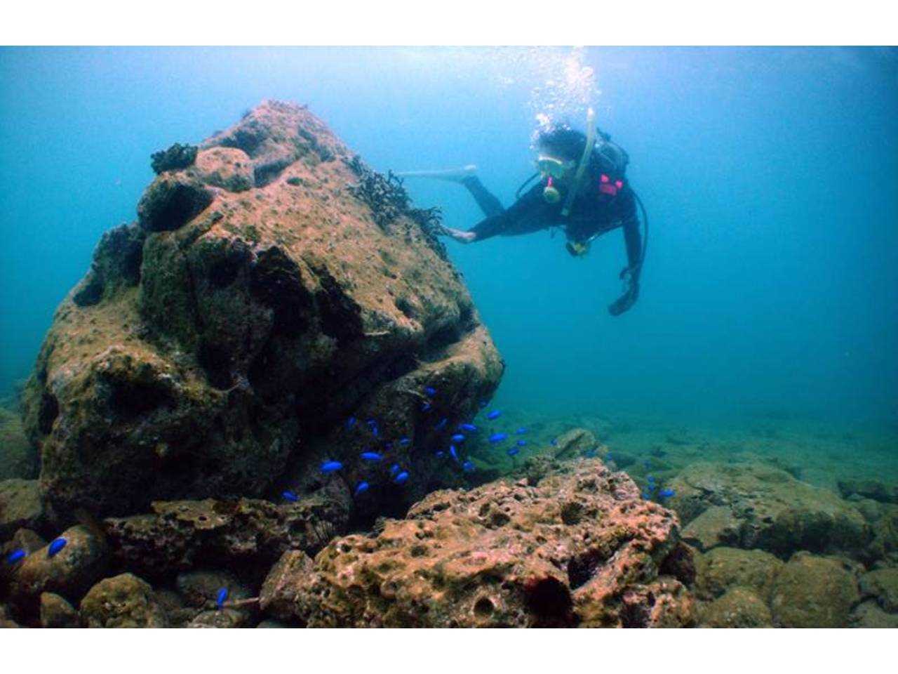 南紀白浜権現崎の水中とAYANO03