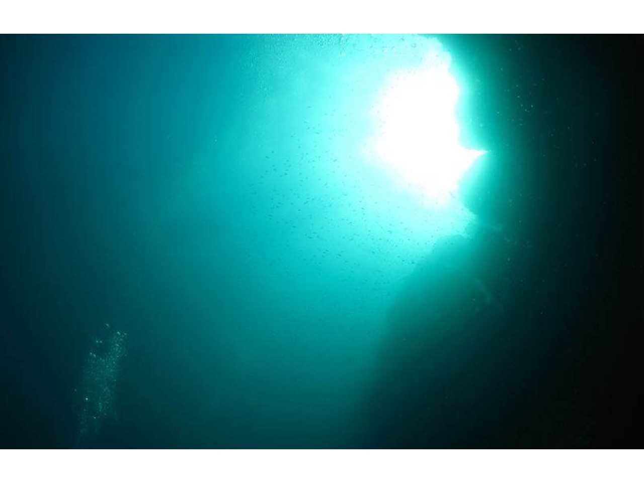 南紀白浜三段壁の水中01