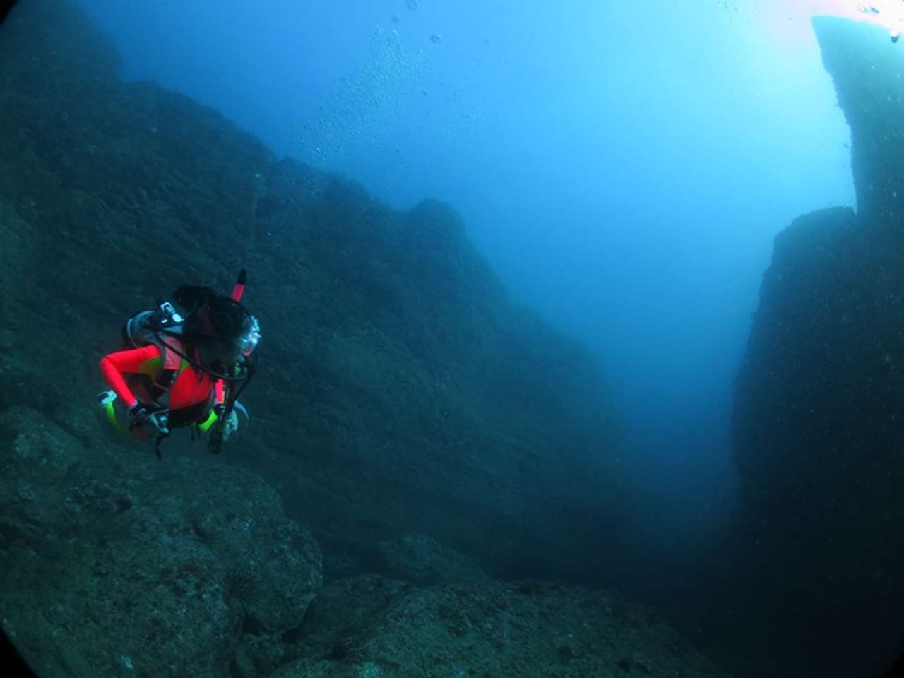 和歌山県南紀白浜三段壁の水中写真