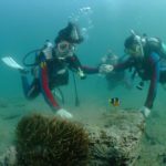 2010年5月撮影海フォトギャラリー｜南紀白浜スパダイブ