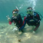 2011年4月撮影海フォトギャラリー｜南紀白浜スパダイブ