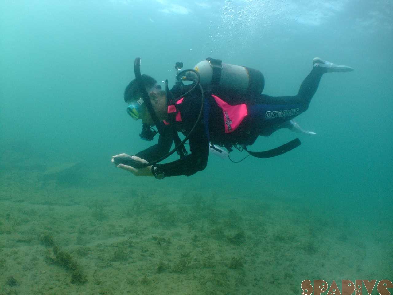 ビーチでAOWコース＆体験ダイビング｜7/29/2011南紀白浜