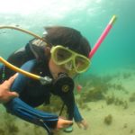 2016年05月撮影海フォトギャラリー｜南紀白浜スパダイブ