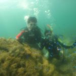 2018年08月撮影海フォトギャラリー｜南紀白浜スパダイブ