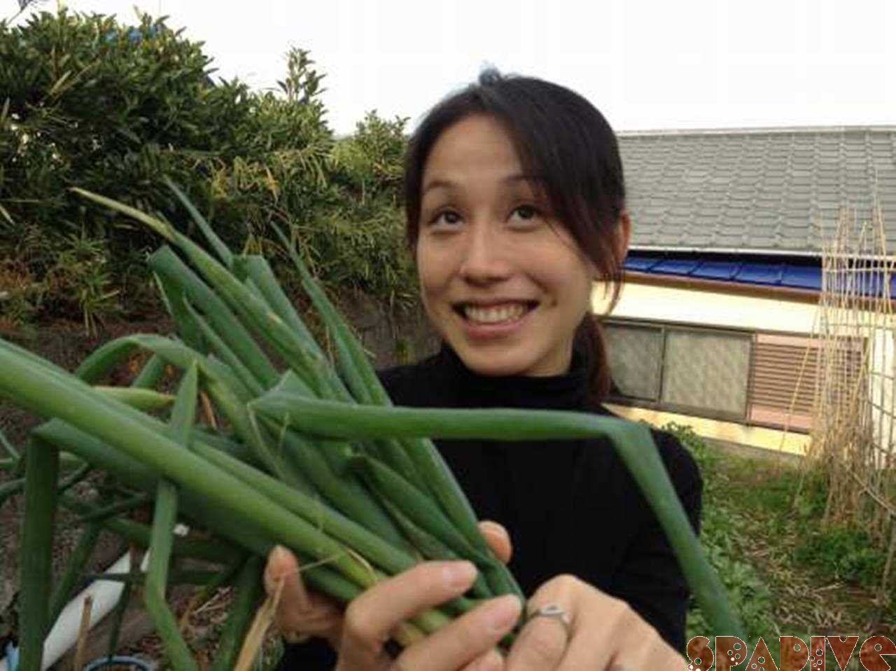 初体験！野菜の収穫＼(^o^)／11/29/2011
