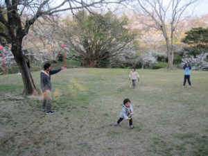 お花見｜子ども達と平草原公園の桜を観に！3/25/2018